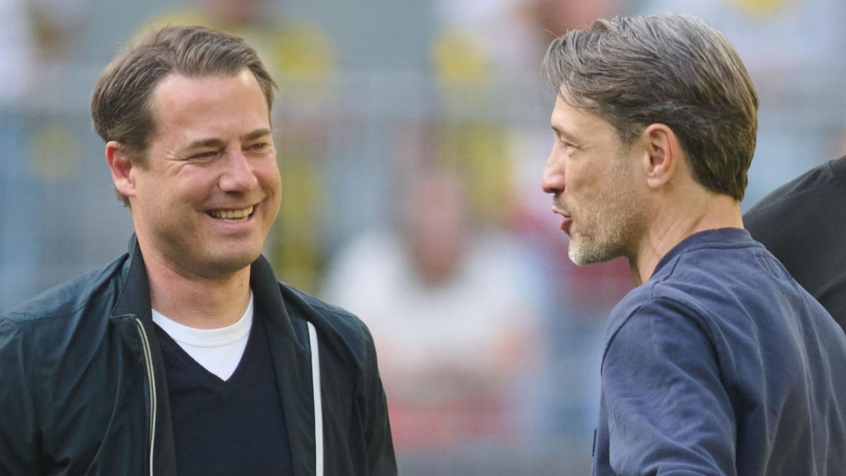 Transfer-News Borussia Dortmund