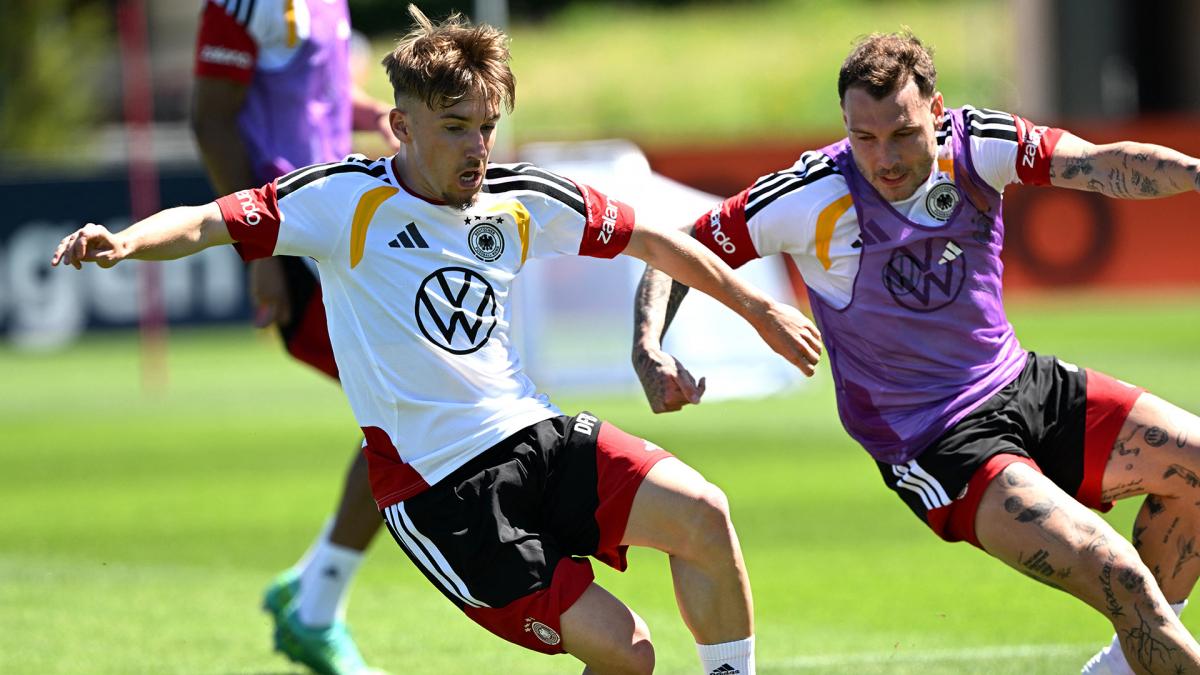 Transfer-News
