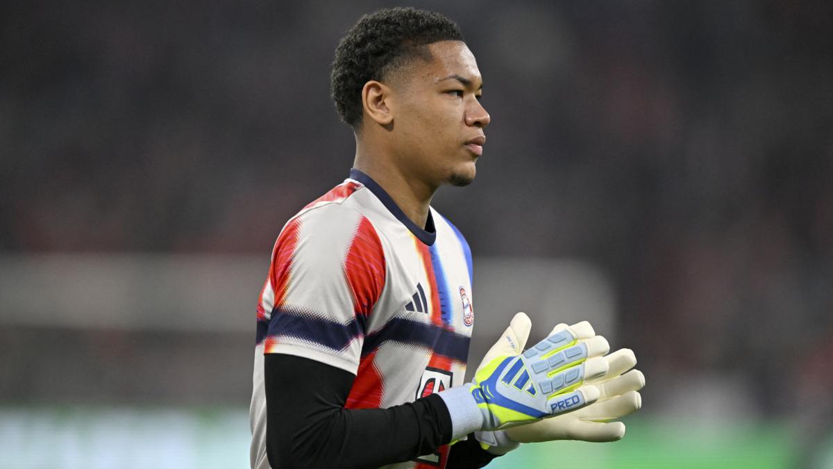 Transfer-News