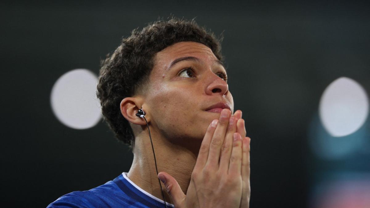 Transfer-News