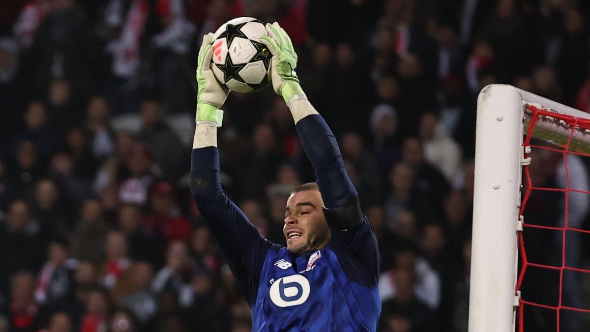 Transfer-News
