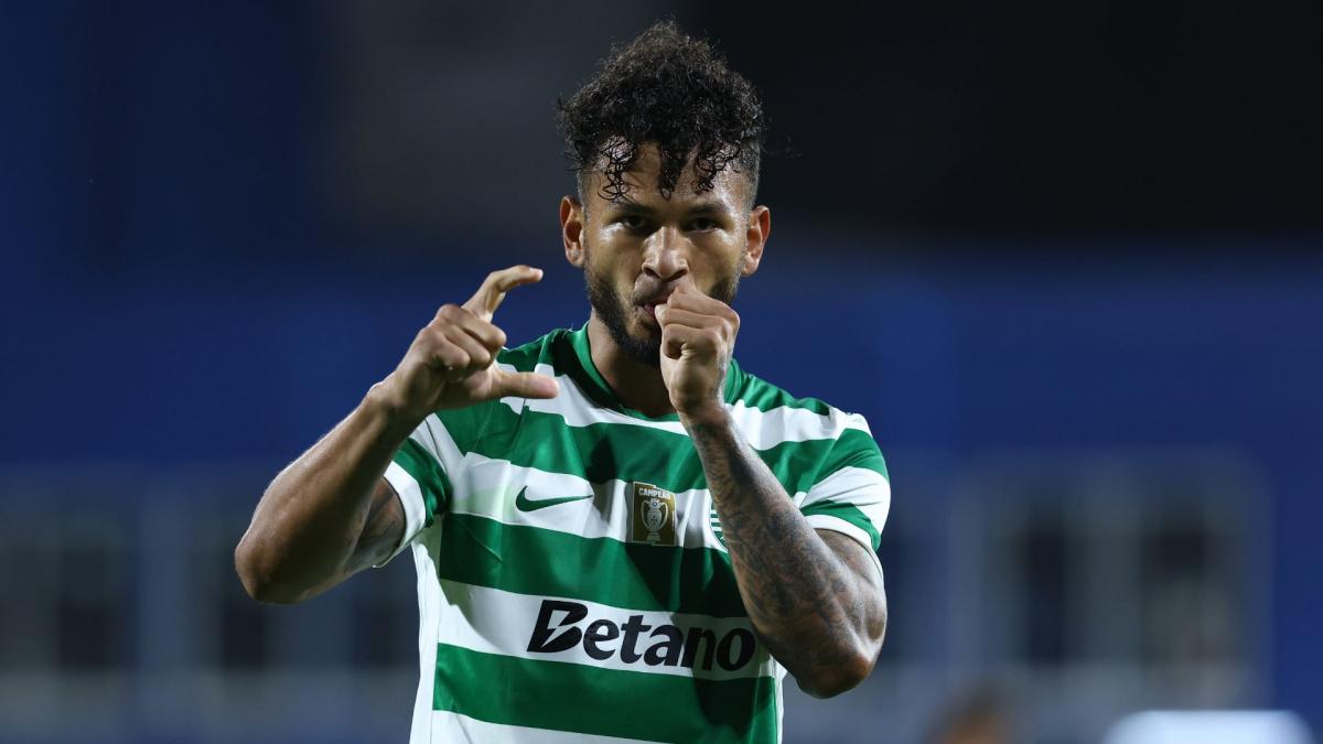 Transfer-News