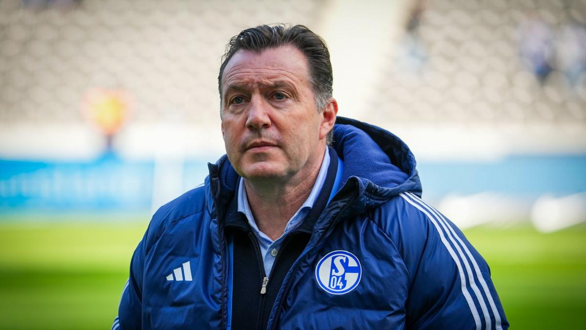 Schalke-Planungen laufen heiß: Erster Neuer hat unterschrieben