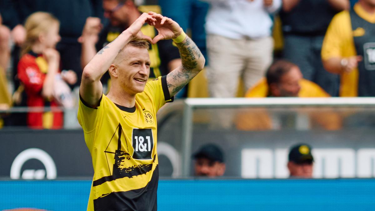 Letzte Transfernews Borussia Dortmund