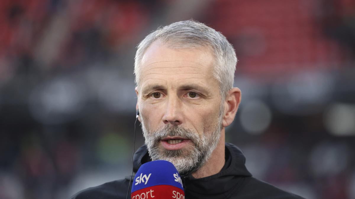 Letzten Transfer-News