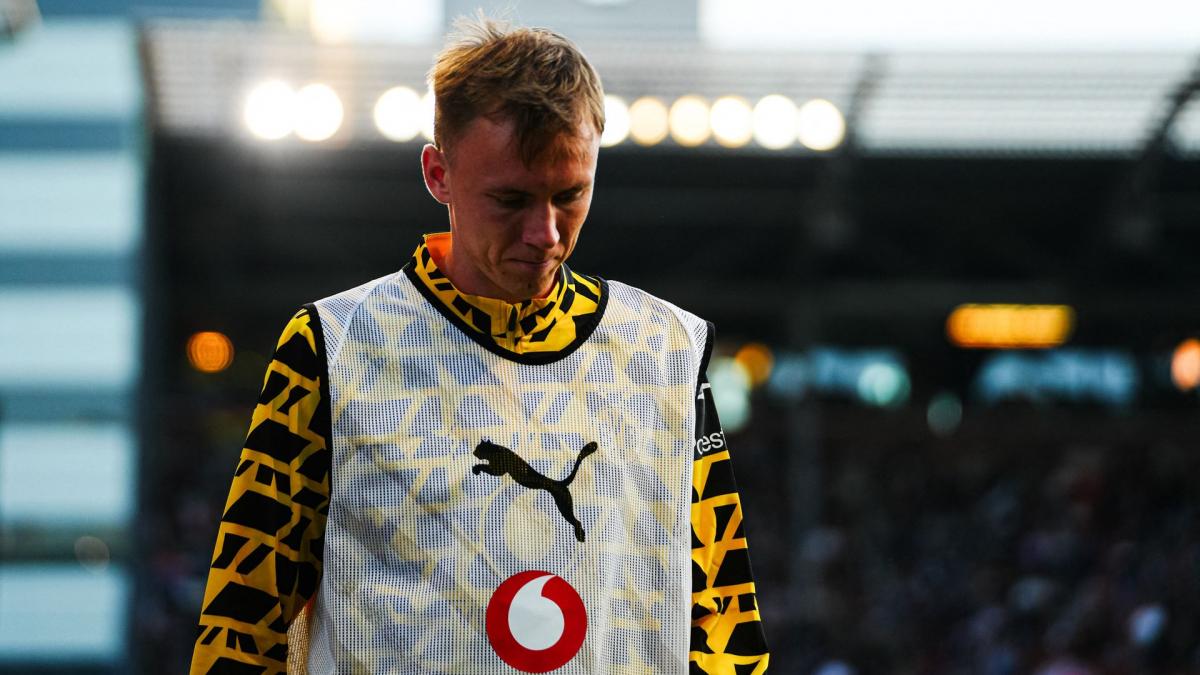 Letzte Transfernews Borussia Dortmund