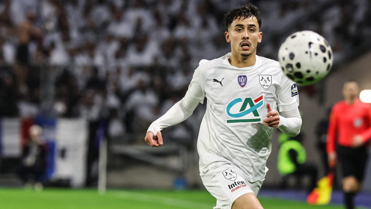 Transfer-News