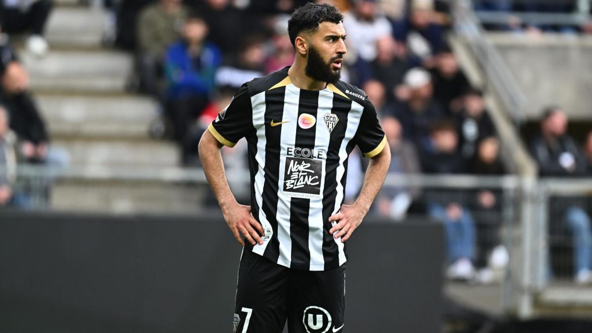 Transfer-News