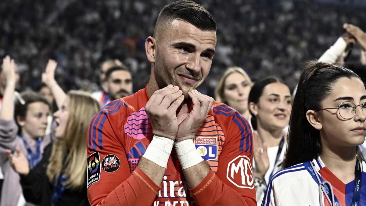 Letzte Transfernews Lyon