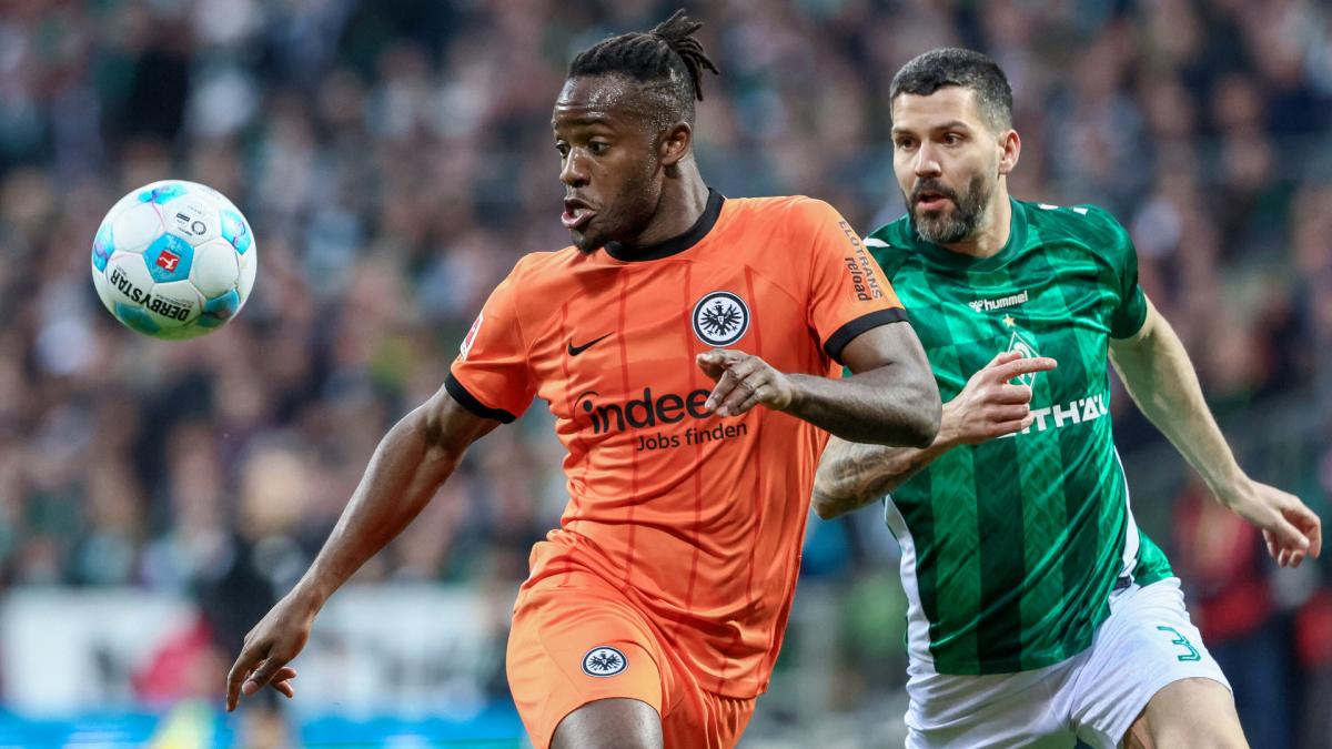 Transfer-News Eintracht Frankfurt