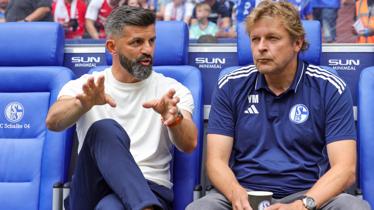 Transfer-News FC Schalke 04