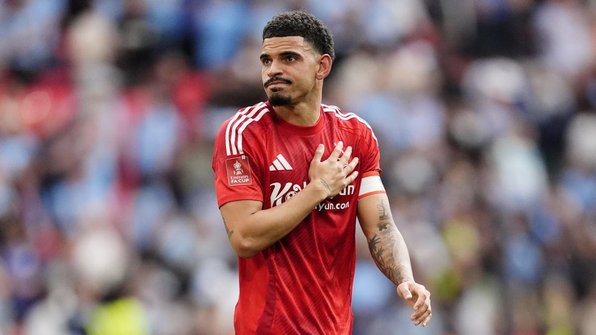 Transfer-News