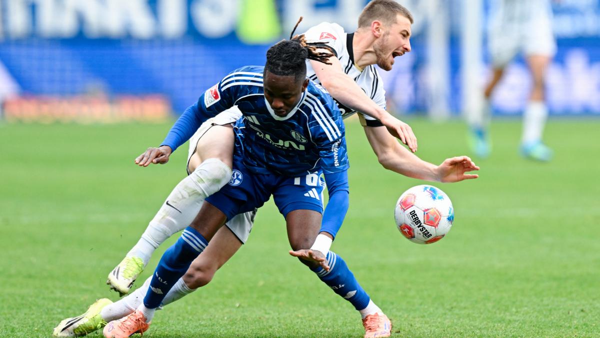 Transfer-News FC Schalke 04