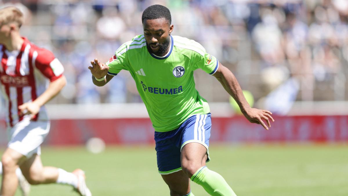 Transfer-News