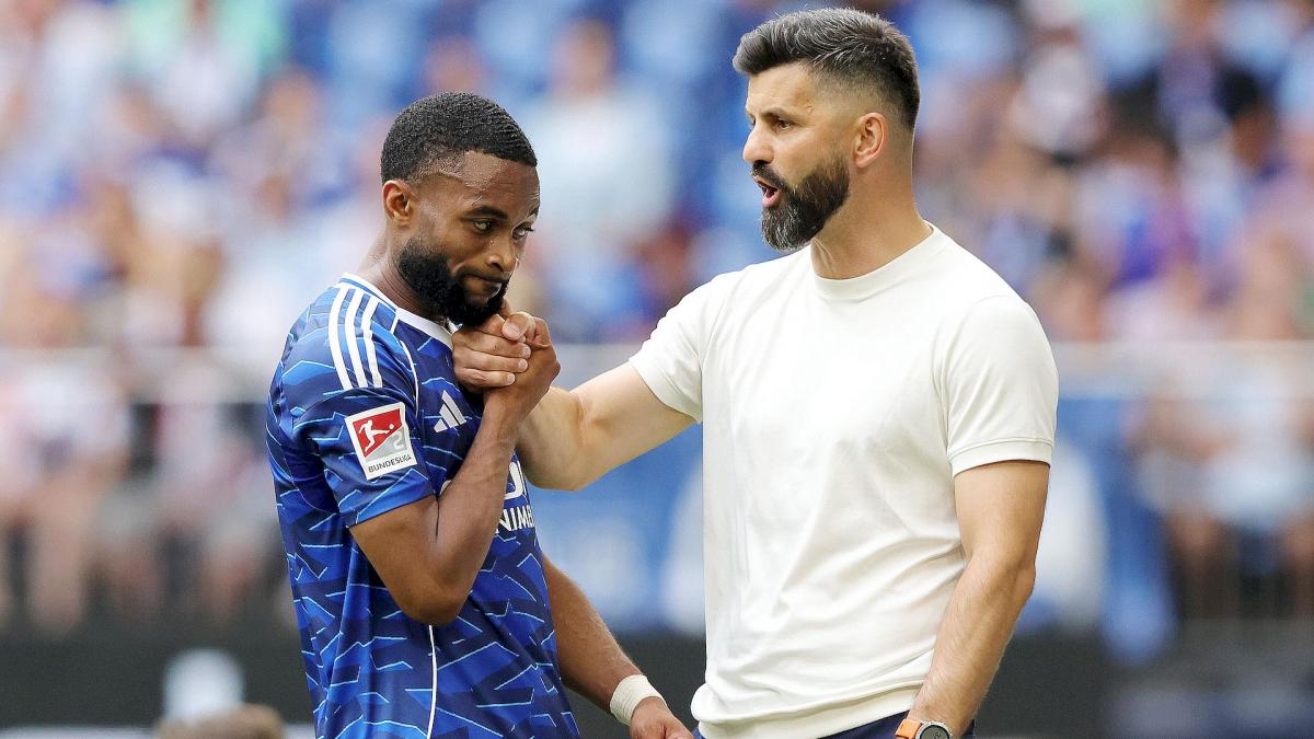 Transfer-News FC Schalke 04