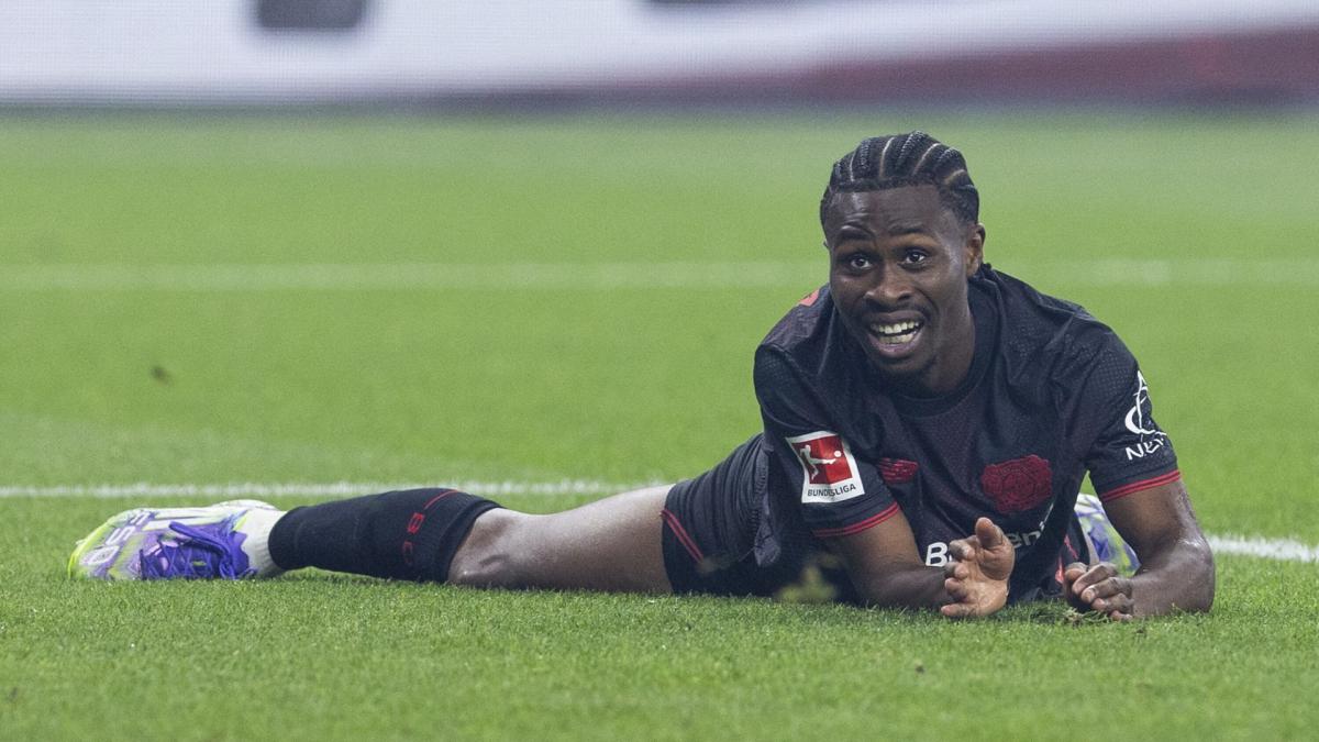 Transfer-News Bayer 04 Leverkusen