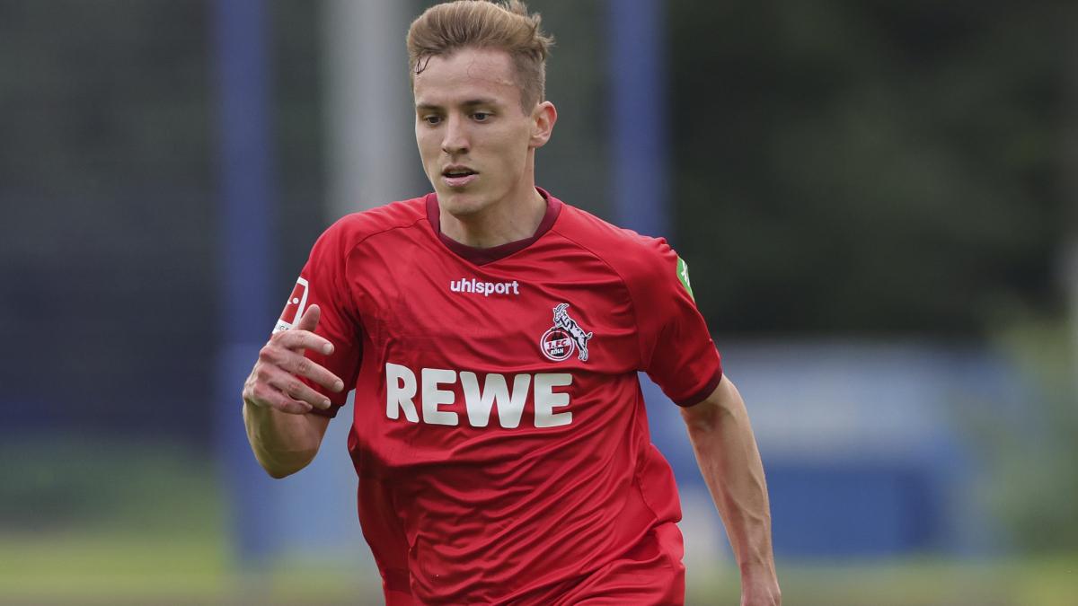 Letzte Transfernews Dynamo Dresden