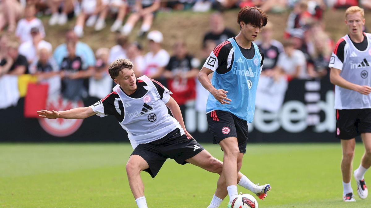 Transfer-News