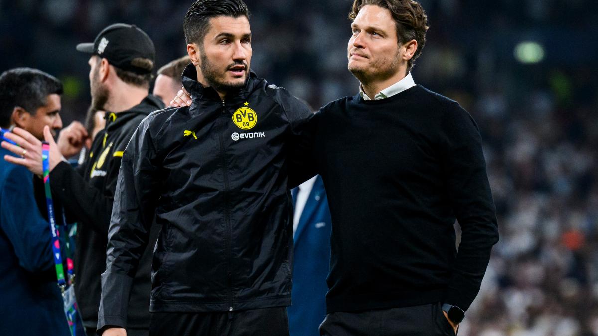 Letzte Transfernews Borussia Dortmund