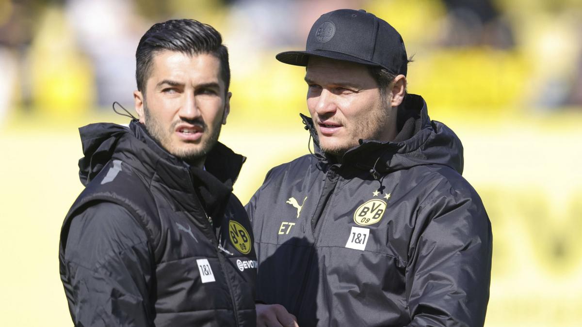 Letzte Transfernews Borussia Dortmund