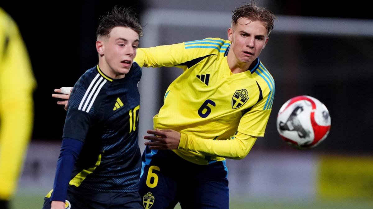 Transfer-News SC Freiburg
