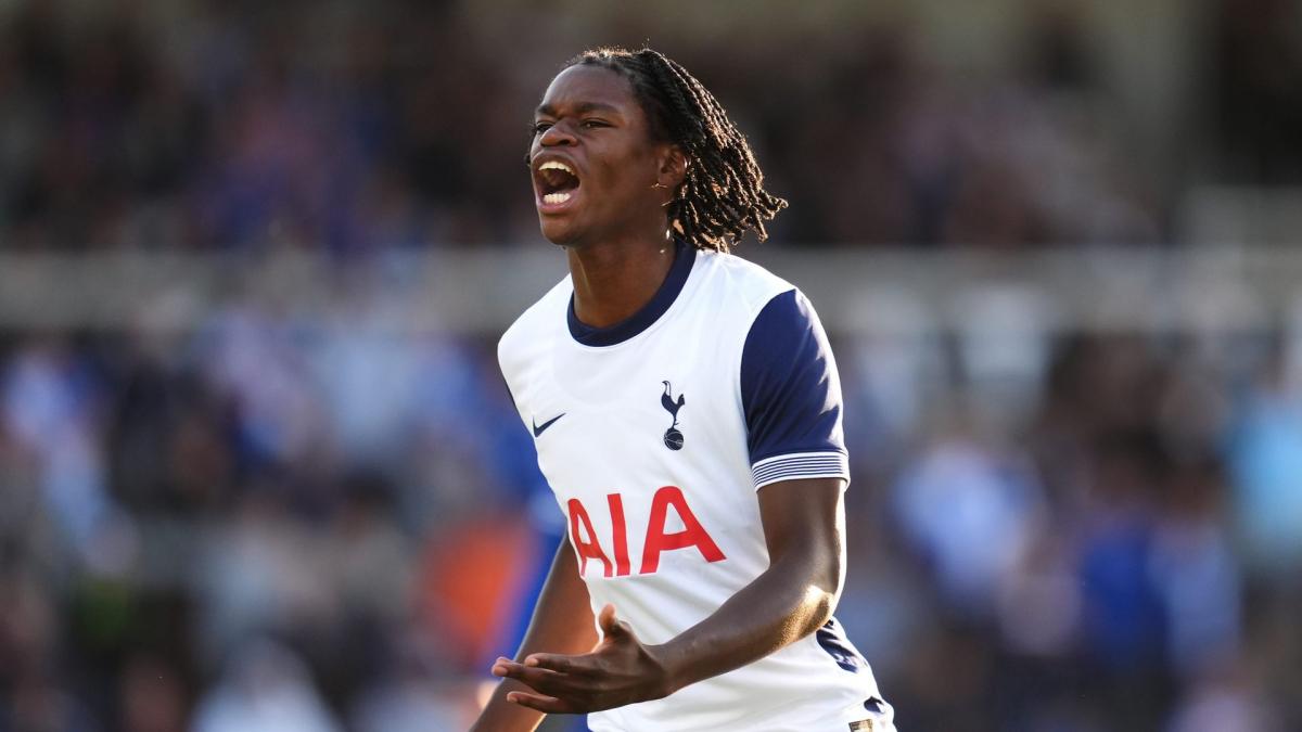 Letzte Transfernews Tottenham Hotspur