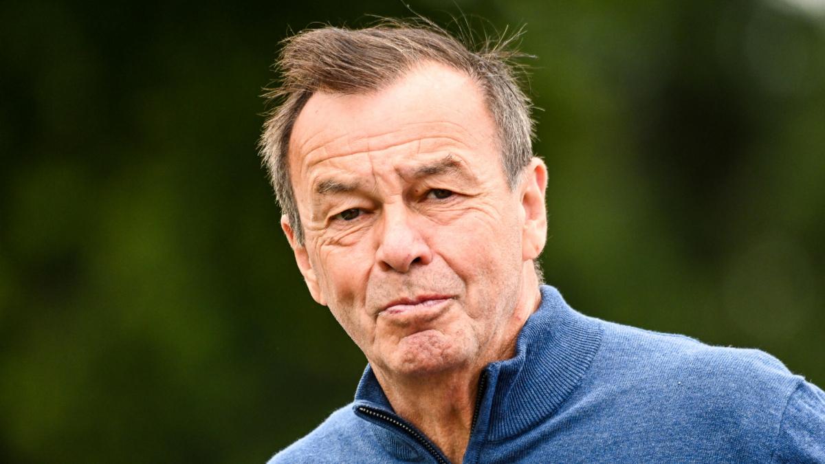Letzte Transfernews Magdeburg