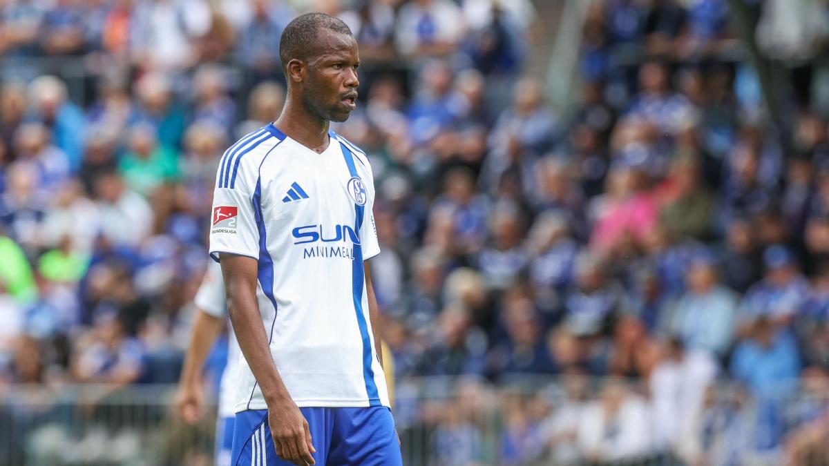 Transfer-News FC Schalke 04