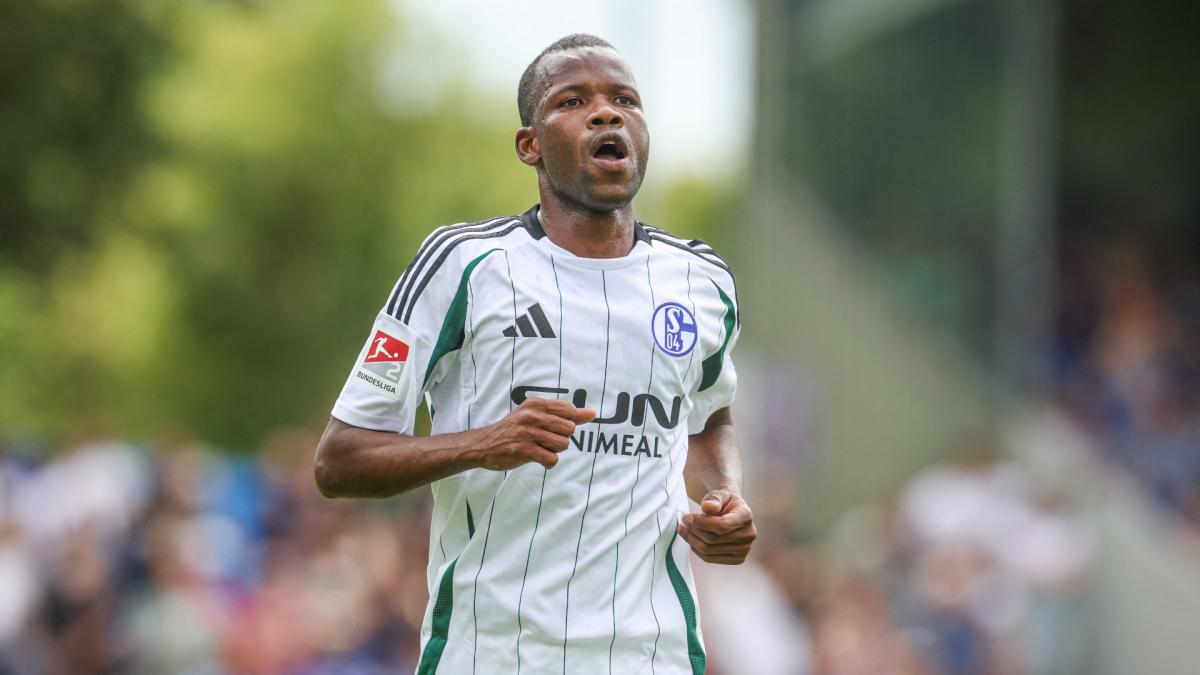 Schalke-Ba-Transfer-f-llt-ins-Wasser