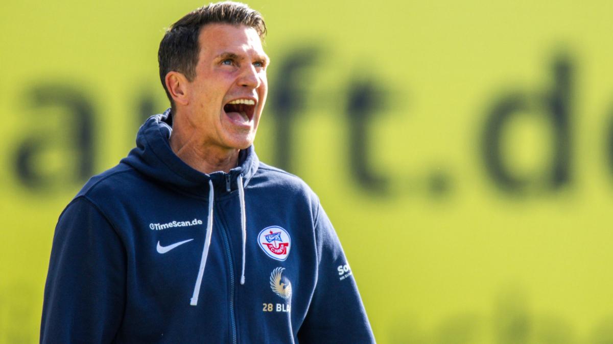 Letzte Transfernews Hansa Rostock