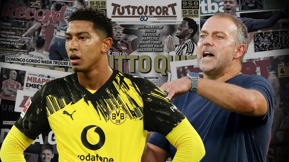 Letzte Transfernews Borussia Dortmund