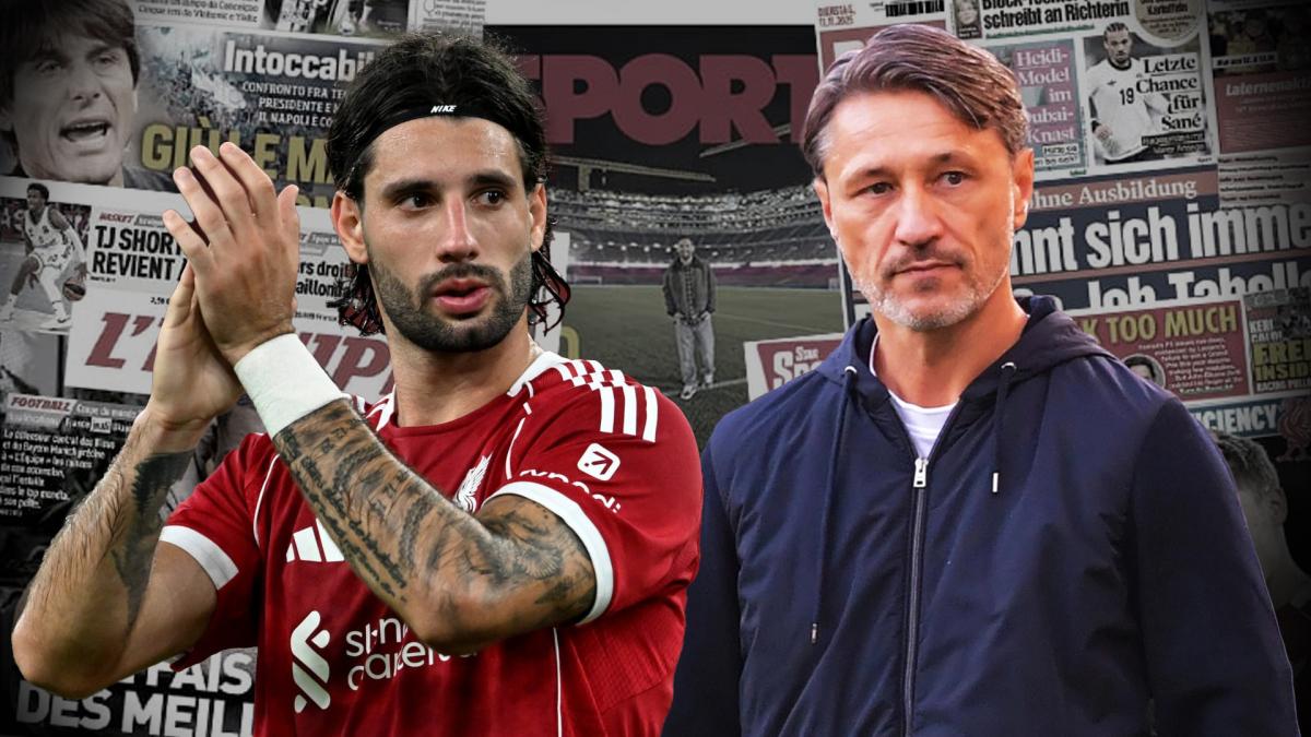 Transfer-News Borussia Dortmund