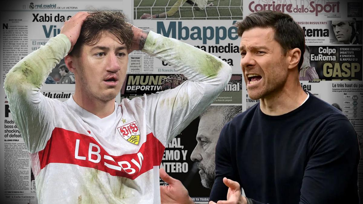 Mobbing-Skandal-um-Stiller-Alonso-kommt-angekrochen