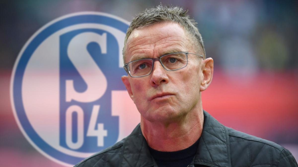 Letzte Transfernews FC Schalke 04