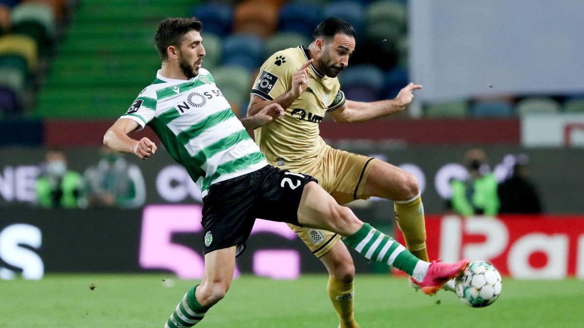 Letzte Transfernews Troyes