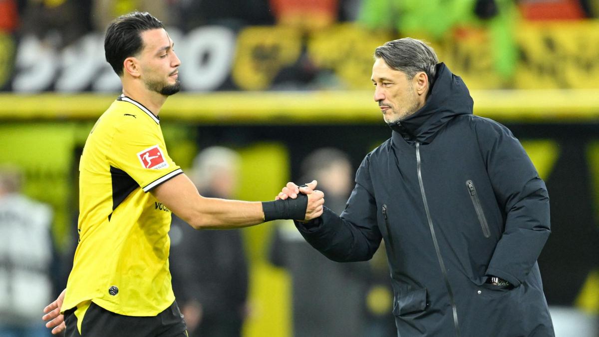 Transfer-News Borussia Dortmund