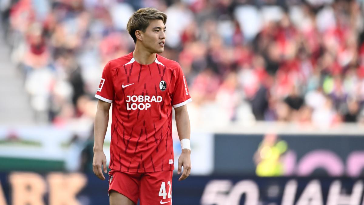 Transfer-News