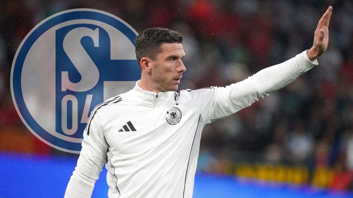 Transfer-News