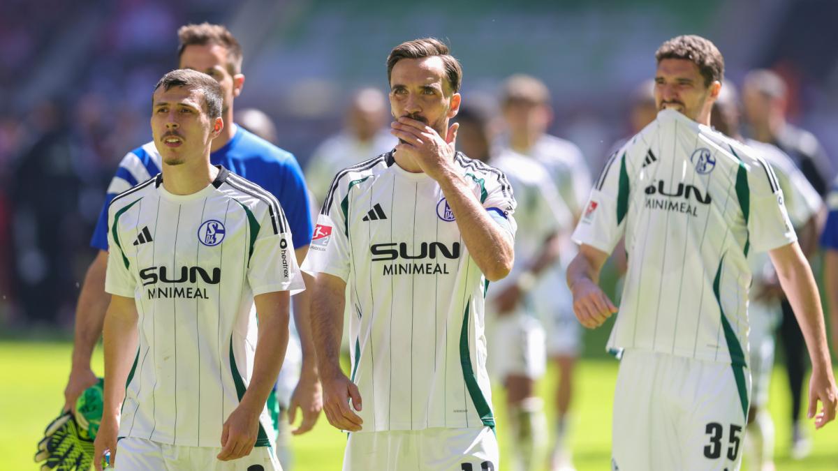 Transfer-News FC Schalke 04
