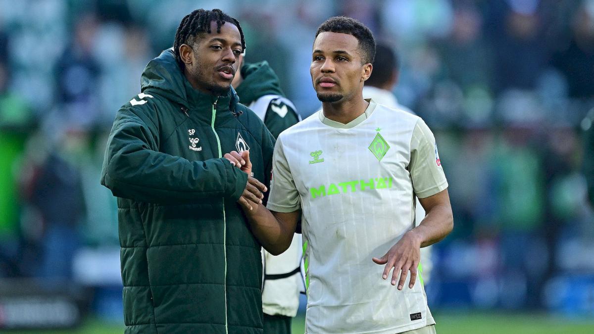 Transfer-News