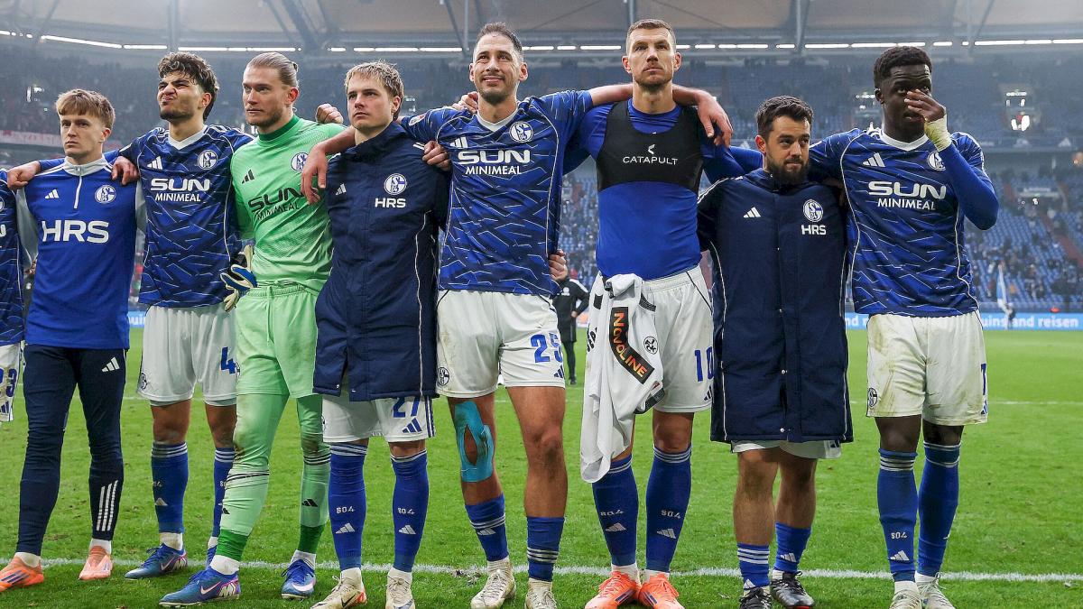 Transfer-News FC Schalke 04