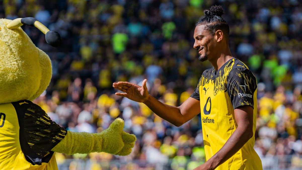 BVB-Millionen-Poker-um-Haller