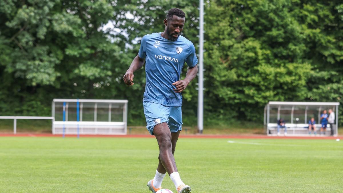 Letzte Transfernews Young Boys