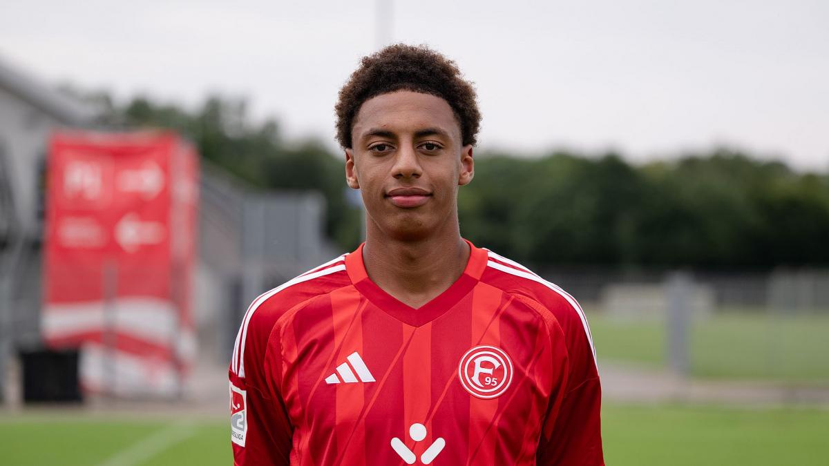 Letzte Transfernews Hansa Rostock