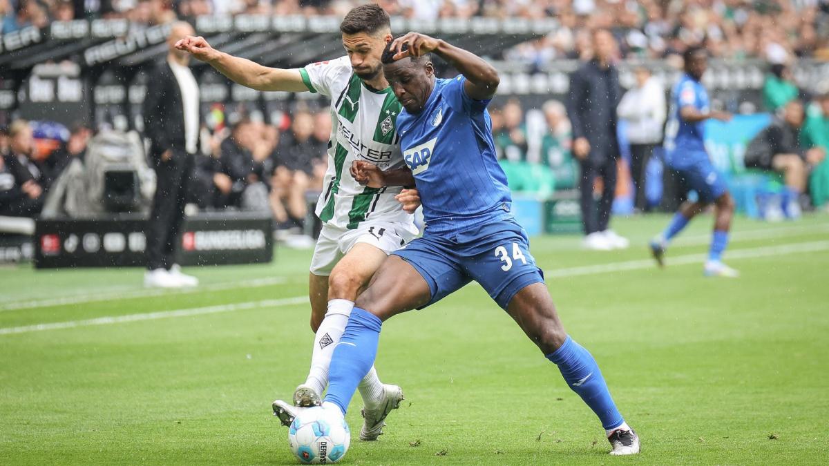 Transfer-News 	TSG 1899 Hoffenheim