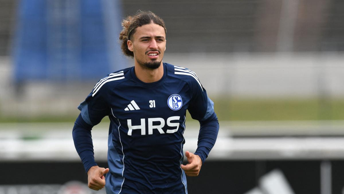 Transfer-News FC Schalke 04