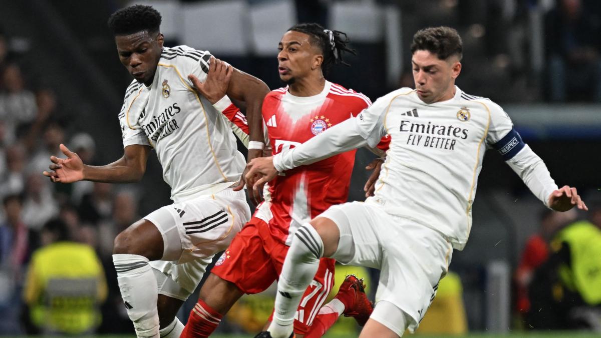 Transfer-News