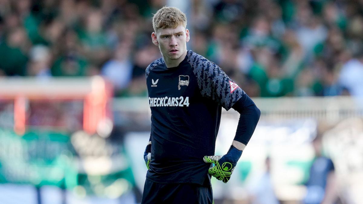Transfer-News