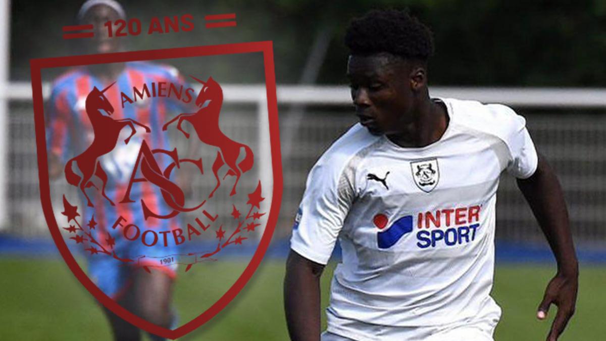 Letzte Transfernews Amiens