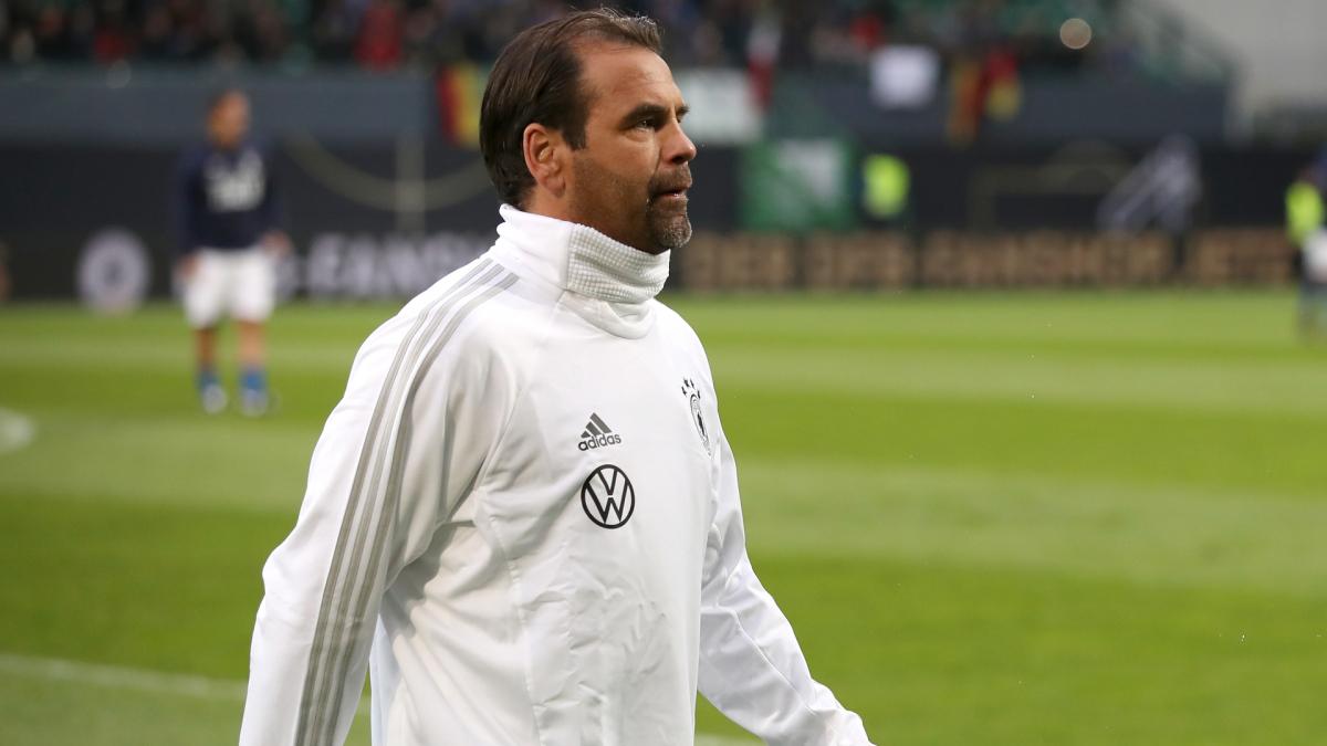 Letzte Transfernews Dynamo Dresden